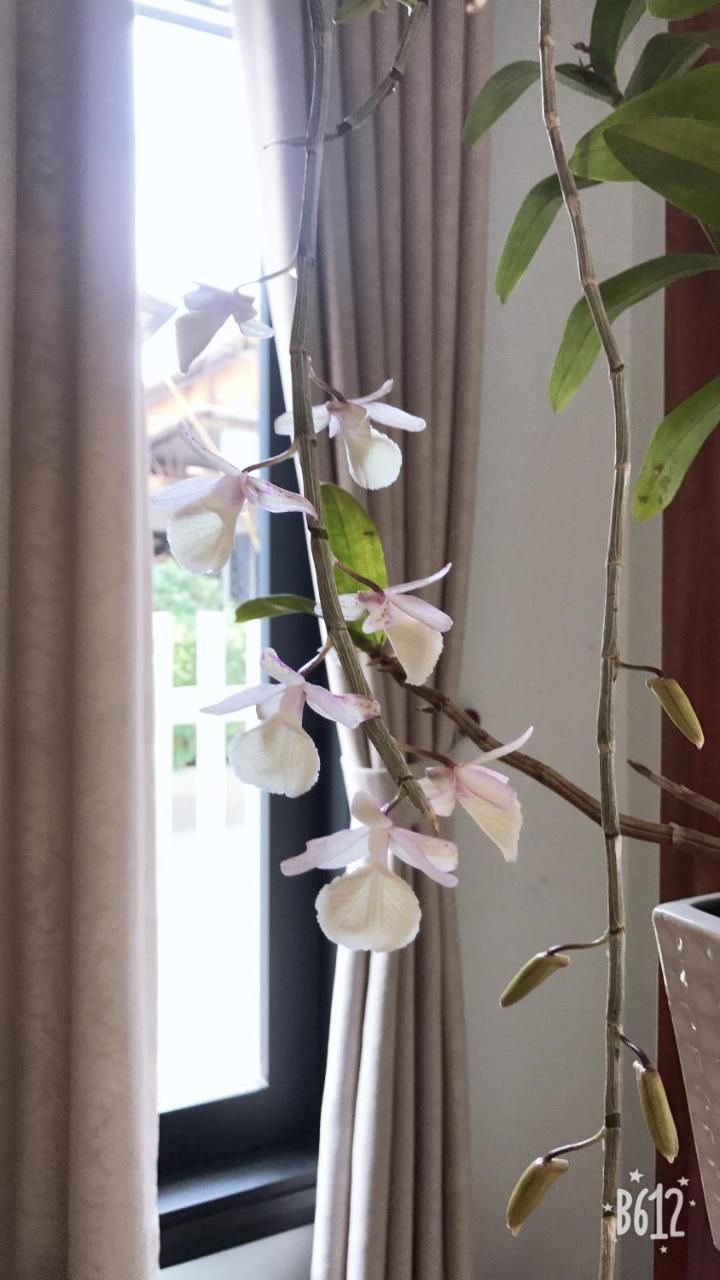 Hue Homestay Riverside ภายนอก รูปภาพ